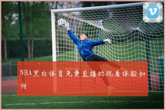 NBA黑白体育免费直播的观看体验如何