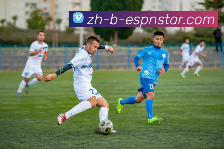 五大联赛直播品牌故事